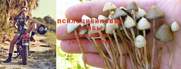 ALPHA-PVP Баксан